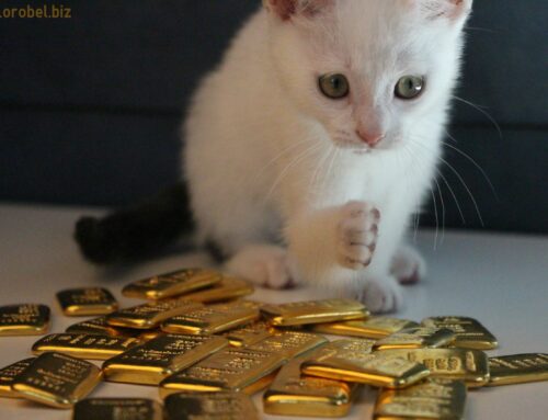 [Gold and cat] Quand Orobel mélange chat & lingots d’or, résultat en photos & vidéo !