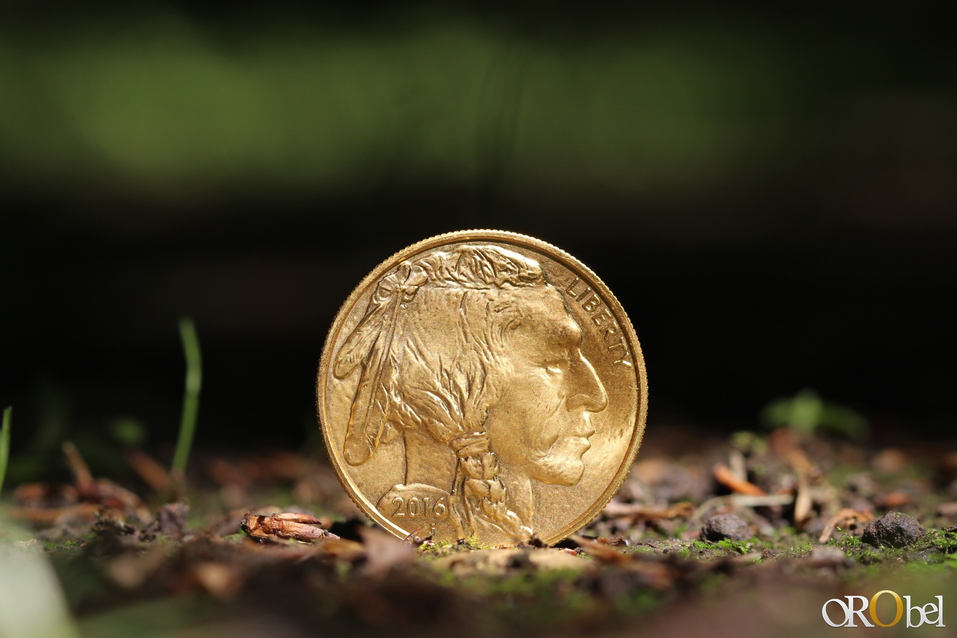 photo HD par orobel de la pice dor American Buffalo gold