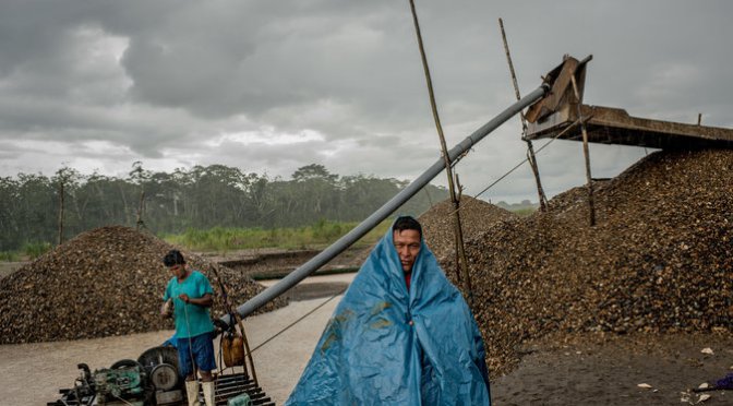 6b88c34cd64b83eac2709d6c8c29fd54