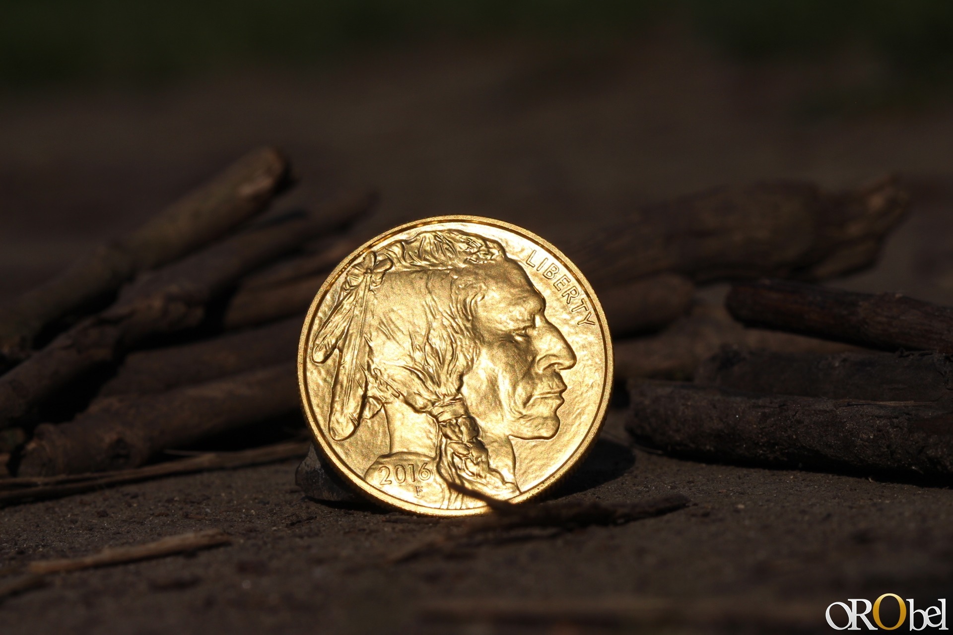 photo HD par orobel de la pice dor American Buffalo gold 1