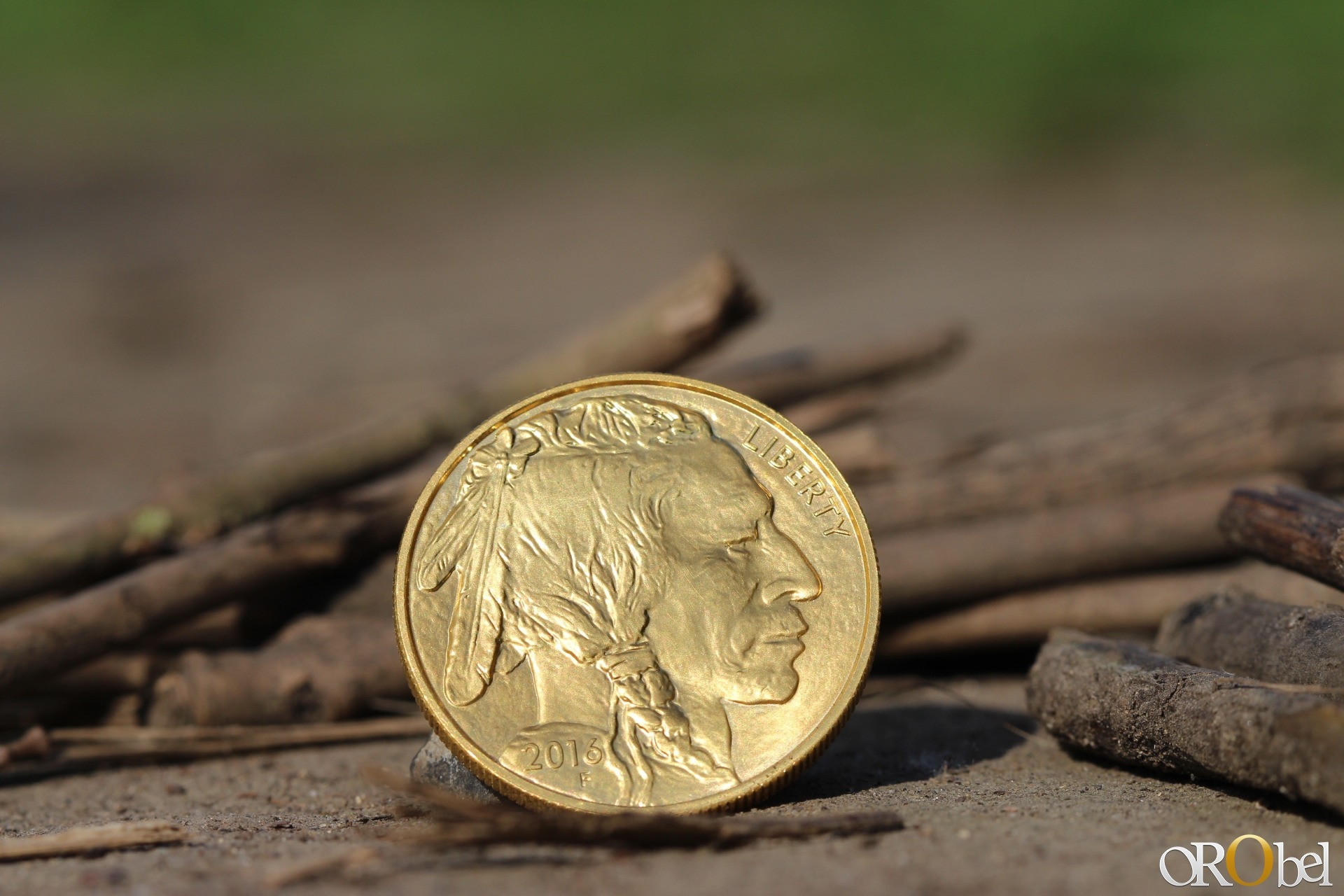 photo HD par orobel de la pice dor American Buffalo gold 2