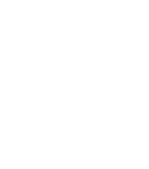 39 (Demo) 39