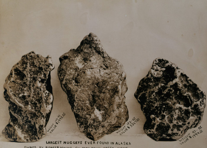 ca. 1904, Nome, Alaska, USA --- In 1904 the three largest gold nuggets found in Alaska, weighed 108 oz., 182 oz., and 97 oz. which at that time were worth $1998.00, $3367.00, and $1794 respectively.  Found in Anvil Creek, Nome. --- Image by © Michael Maslan Historic Photographs/CORBIS