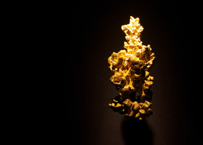 The Latrobe gold nugget, in the Natural History Museum. London. England. United Kingdom.