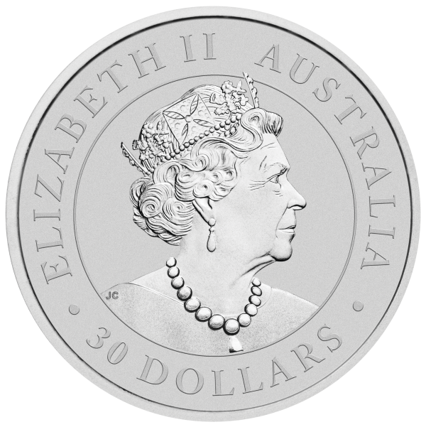 australian koala 2021 elizabeth ii orobel shop