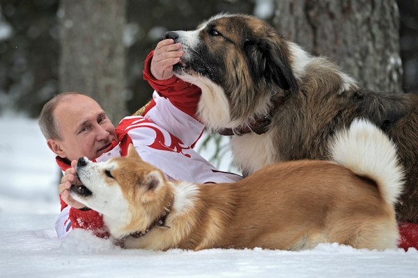 poutine posant avec des chiens