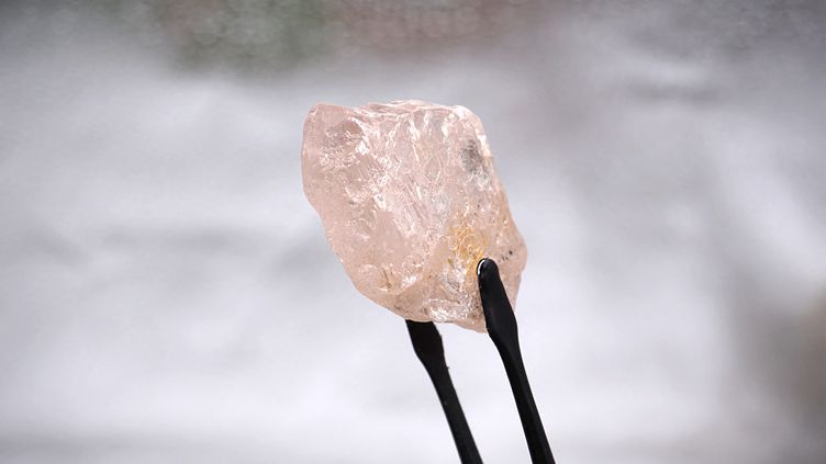 La Rose de Lulo : le diamant rose le plus gros de l'histoire ?